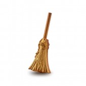 Elphaba's Broomstick