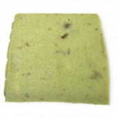 Olive Tree