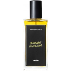Orange Blossom