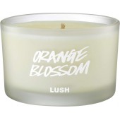 Orange Blossom