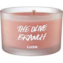 The Olive Branch
